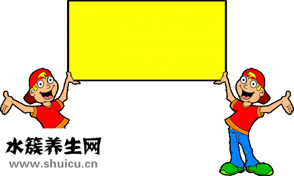 生雙胞胎的原因