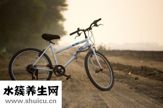 西蘭花能減肥嗎