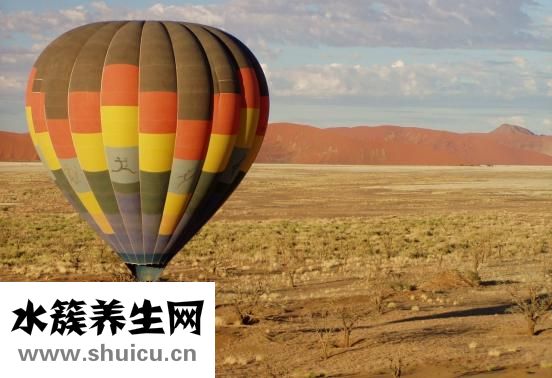 膳食纖維高的食物