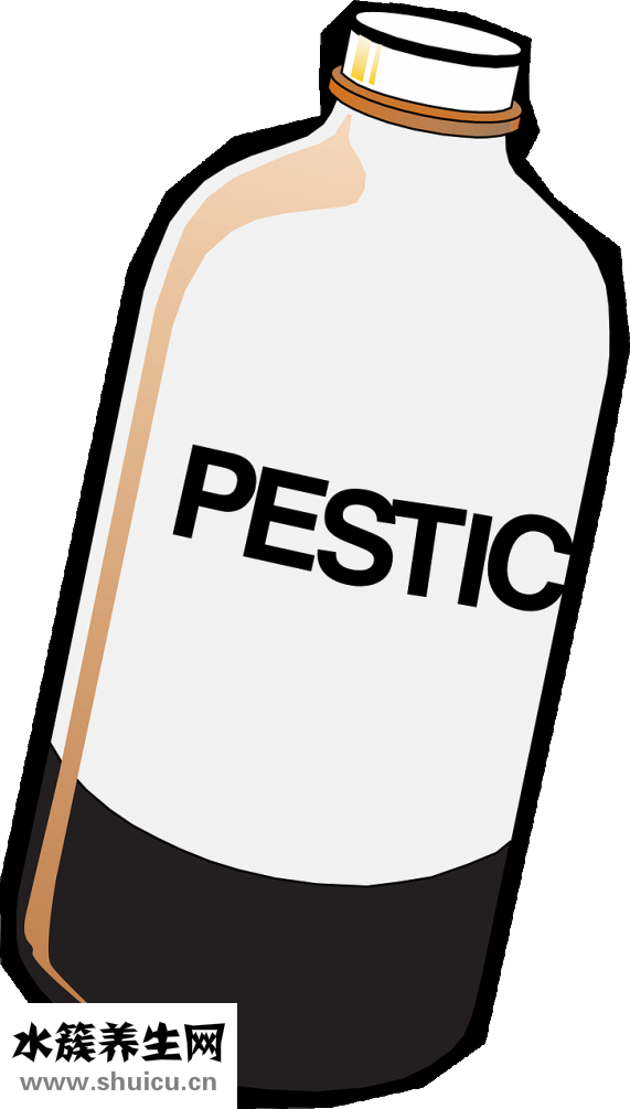 榨果汁要加水嗎