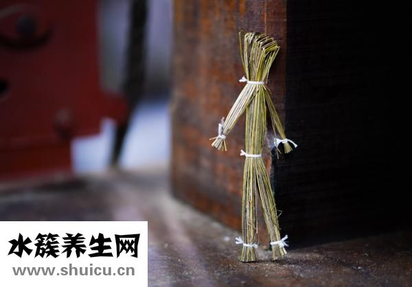 石斛的功效作用