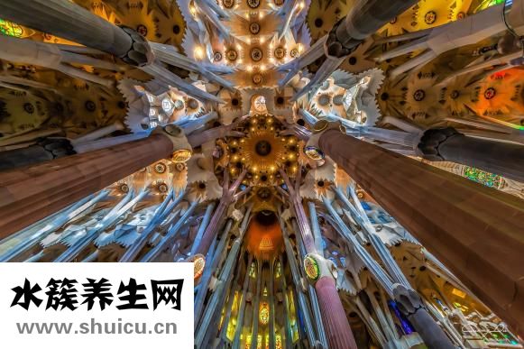 蛇盤瘡怎么引起的