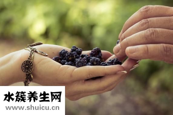 環磷酰胺的作用