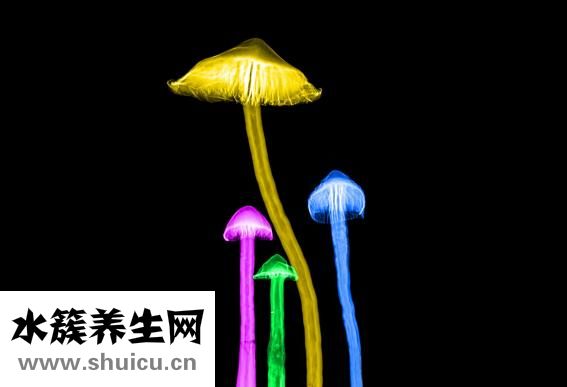 什么是放療和化療