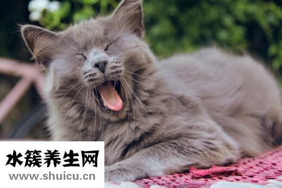 舌頭大是怎么回事