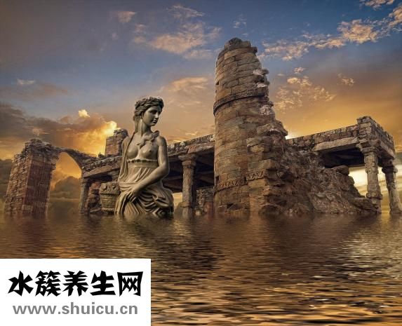 韋格納肉芽腫病