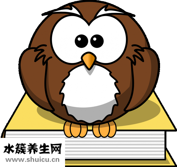 腿拉傷了怎么辦