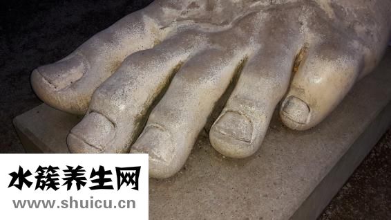 替諾福韋說明書