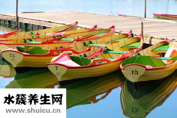 膳食纖維高的食物