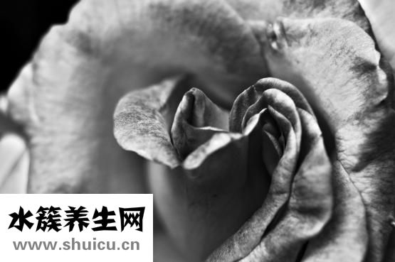 慢性萎縮性胃炎禁忌