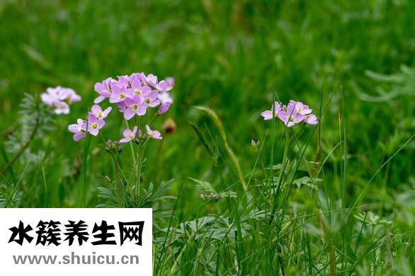 黃豆渣怎么做好吃