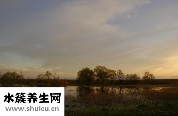 牙齦一碰就出血