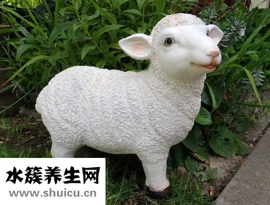 烀豬肉放什么調料