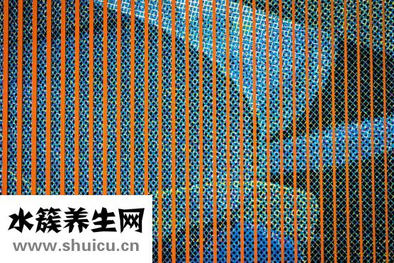 髂前上棘體表定位圖