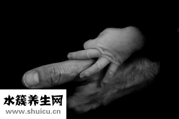 血竇是什么意思