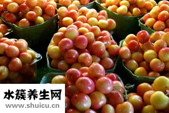 車厘子苗價格表