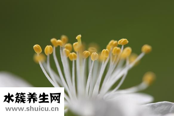 月子里可以洗澡嗎