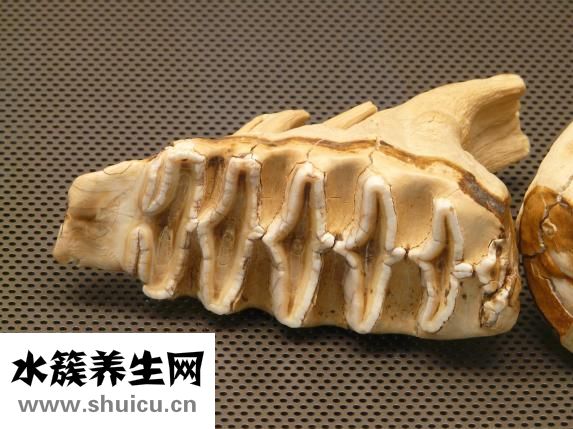 隱形牙套多少錢