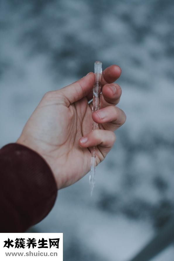 雜糧飯能減肥嗎