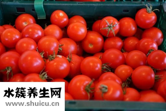 西紅柿營養價值