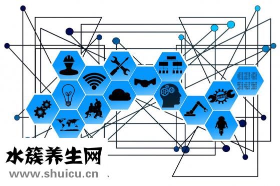 車厘子苗價格表