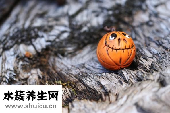 養生粥的做法大全