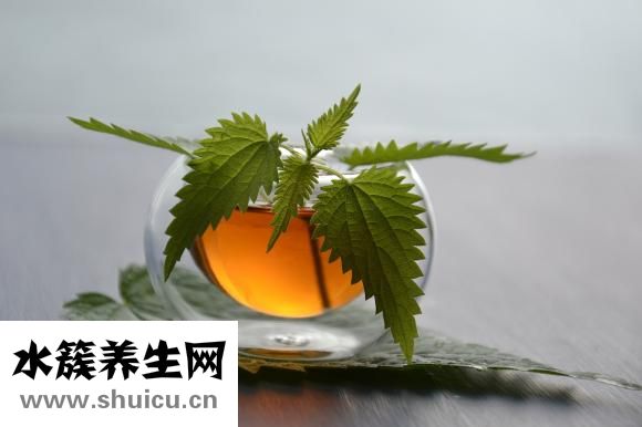 油麥菜的熱量