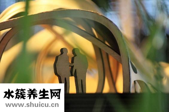 造血干細胞捐獻