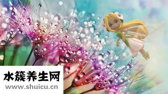 牙齒修復(fù)技術(shù)