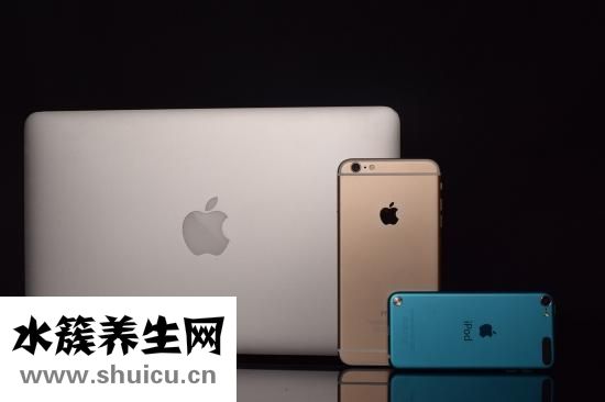 養生粥的做法大全