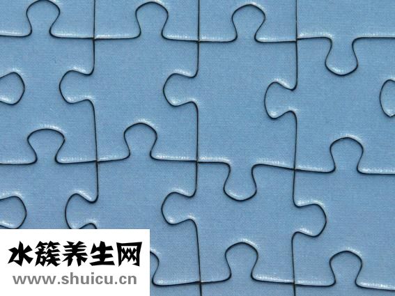 血竇是什么意思