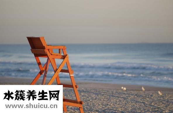 孕婦能吃甲魚不