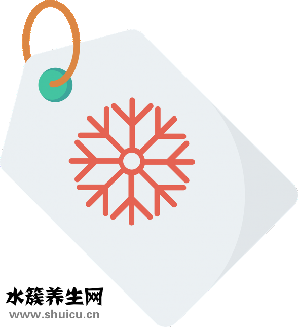 長白山人參價格