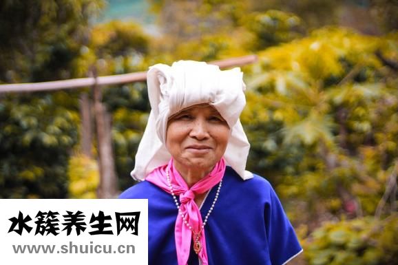 蠶豆的功效與作用