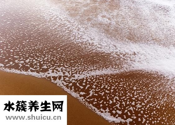 牙齦卟啉單胞菌