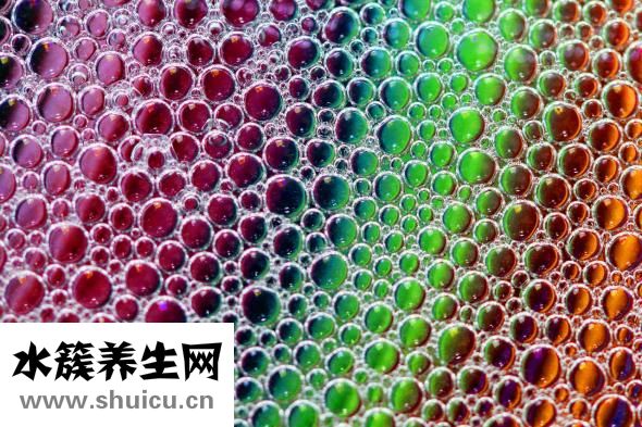 石斛泡水的功效