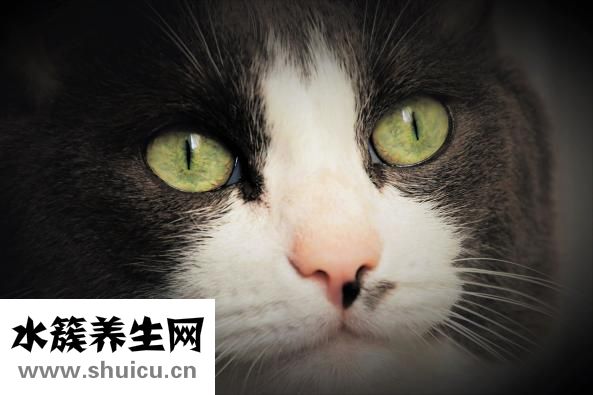 近視的標(biāo)準(zhǔn)