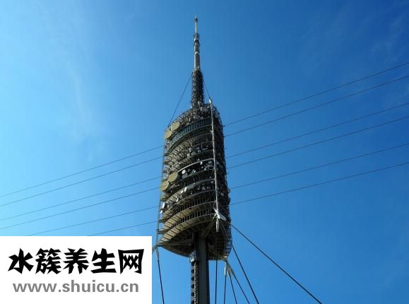 仰臥是什么姿勢