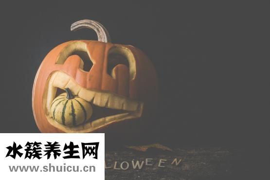 香菇要煮多久才能熟