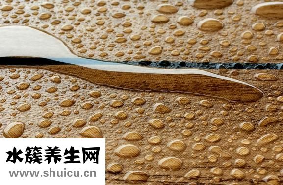 筍的做法大全家常