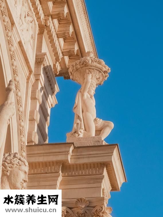 生化是檢查什么的