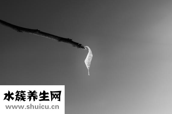 油漬怎么洗干凈