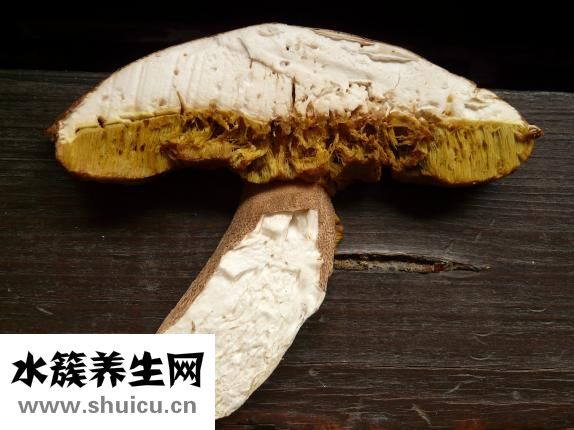 致密性骶髂關(guān)節(jié)炎