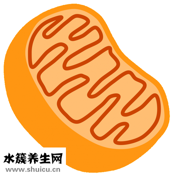 水平儀怎么校準(zhǔn)
