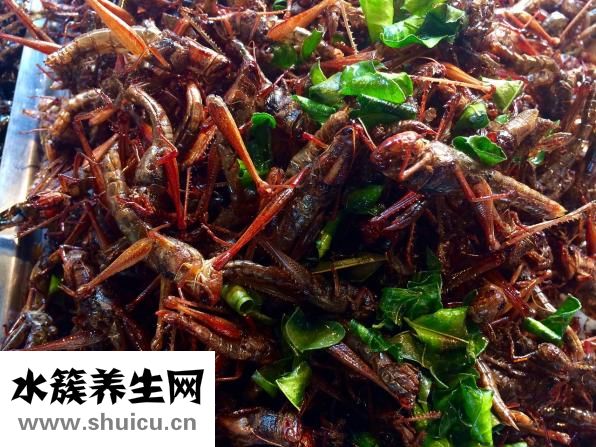 香菇要煮多久才能熟