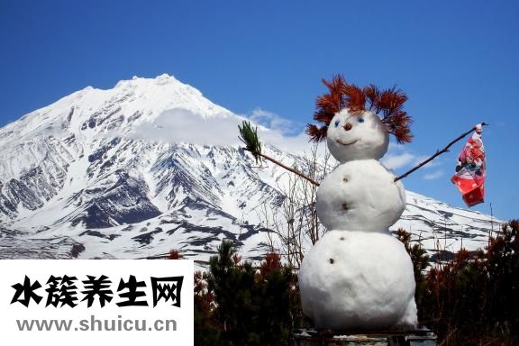 雪燕和燕窩的區別