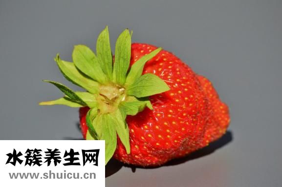 醋酸甲地孕酮片