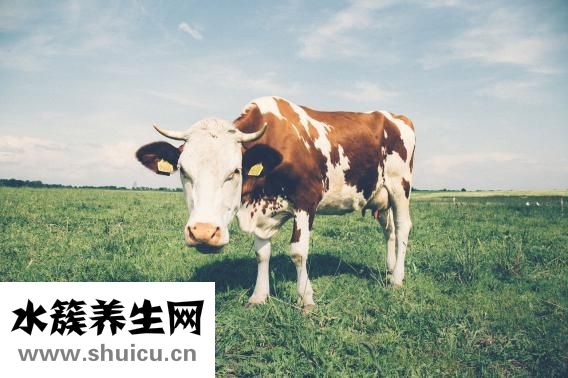 腸炎可以喝牛奶嗎