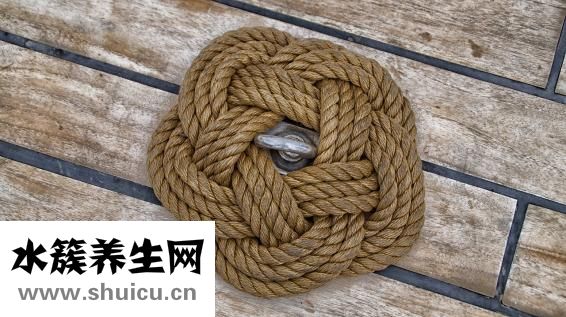 跳繩的長度多少合適