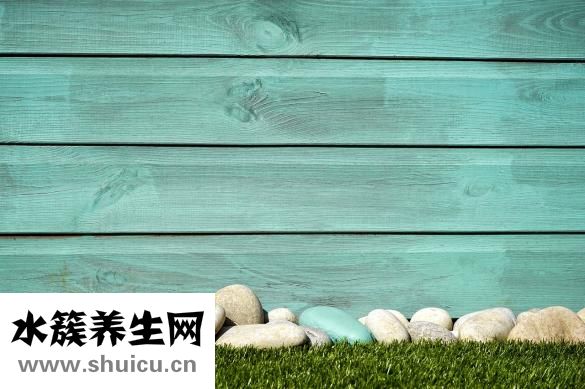 櫻花樹結(jié)櫻桃嗎